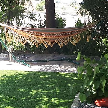 Quintinha Dos Cedros Villa Alfândega da Fé Dış mekan fotoğraf