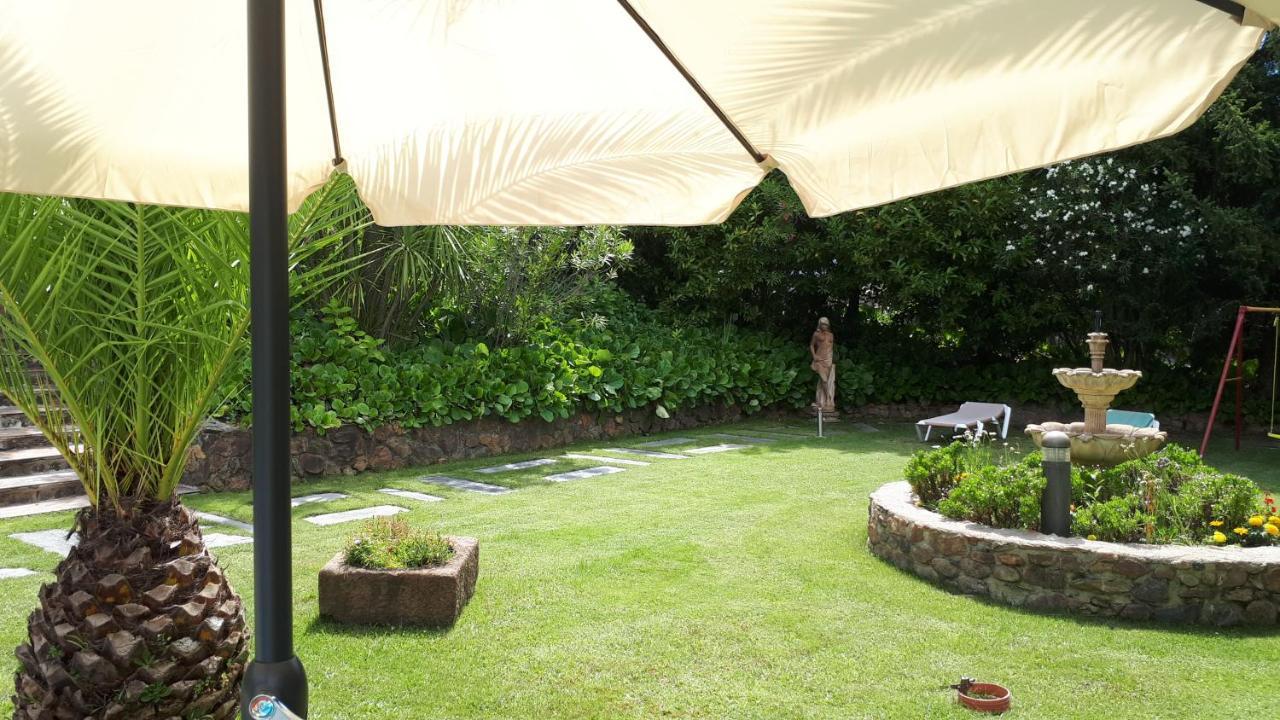 Quintinha Dos Cedros Villa Alfândega da Fé Dış mekan fotoğraf