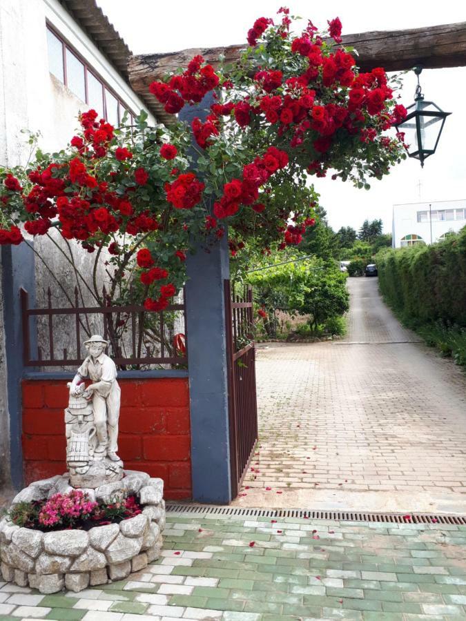 Quintinha Dos Cedros Villa Alfândega da Fé Dış mekan fotoğraf