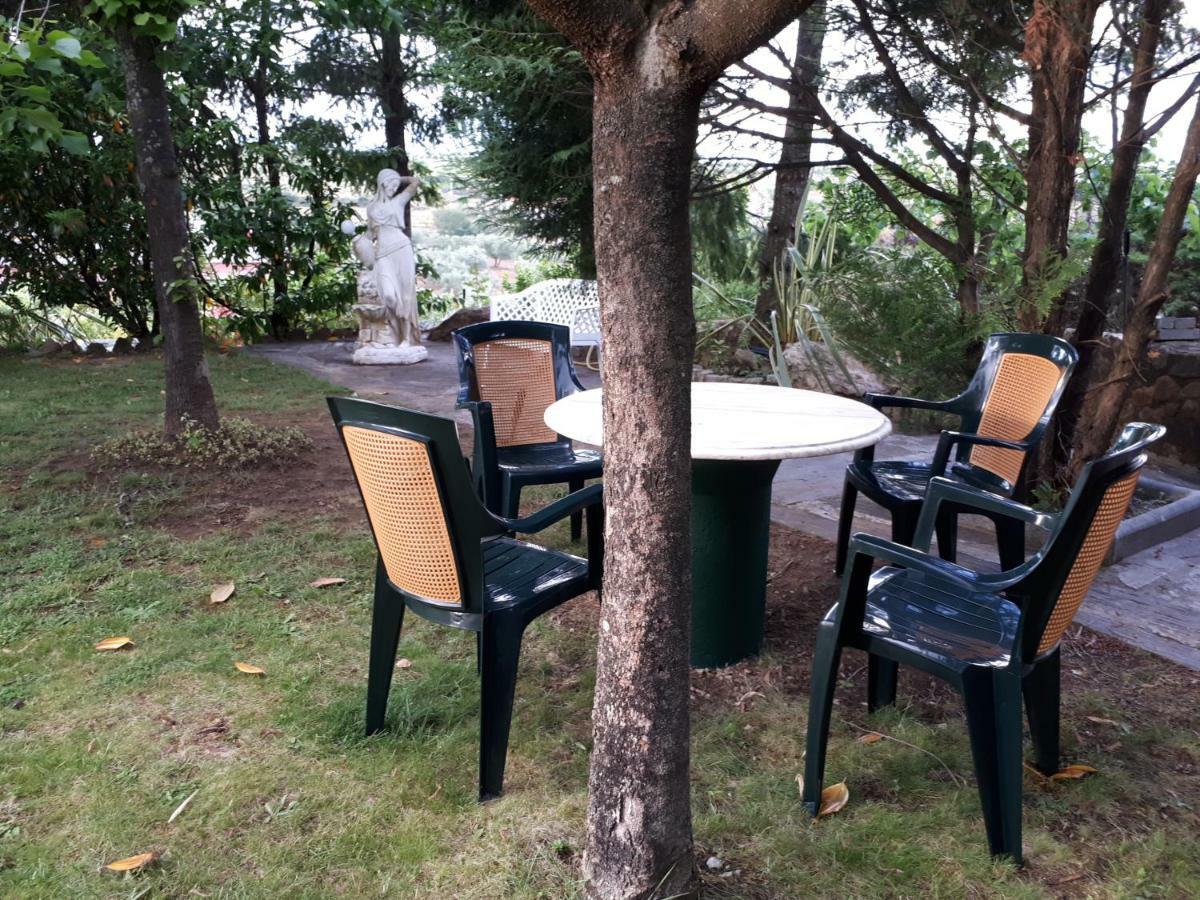 Quintinha Dos Cedros Villa Alfândega da Fé Dış mekan fotoğraf
