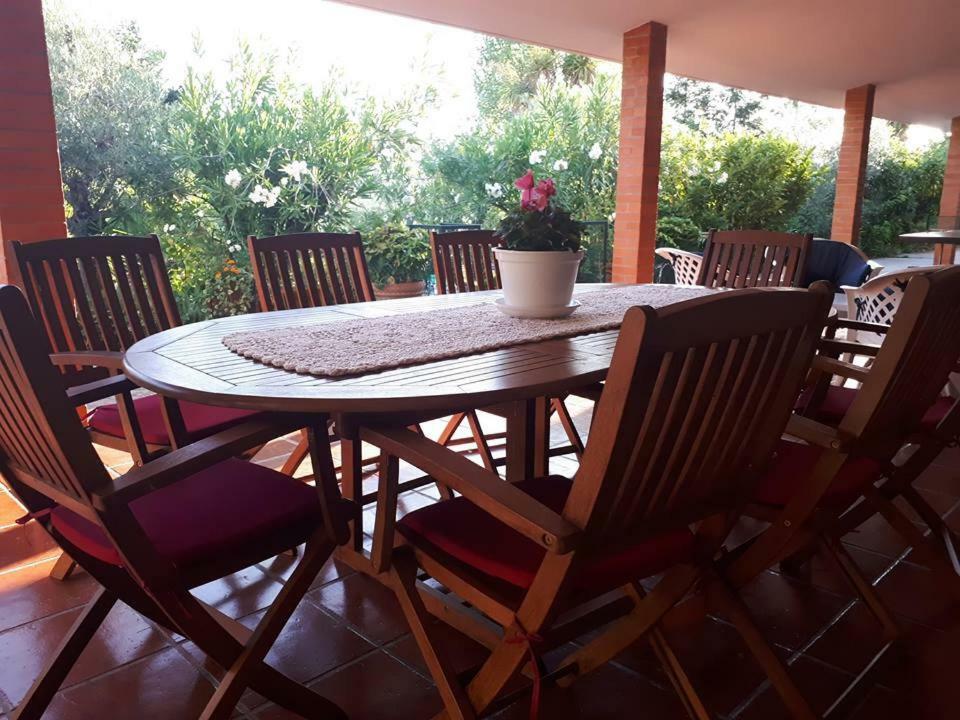 Quintinha Dos Cedros Villa Alfândega da Fé Dış mekan fotoğraf