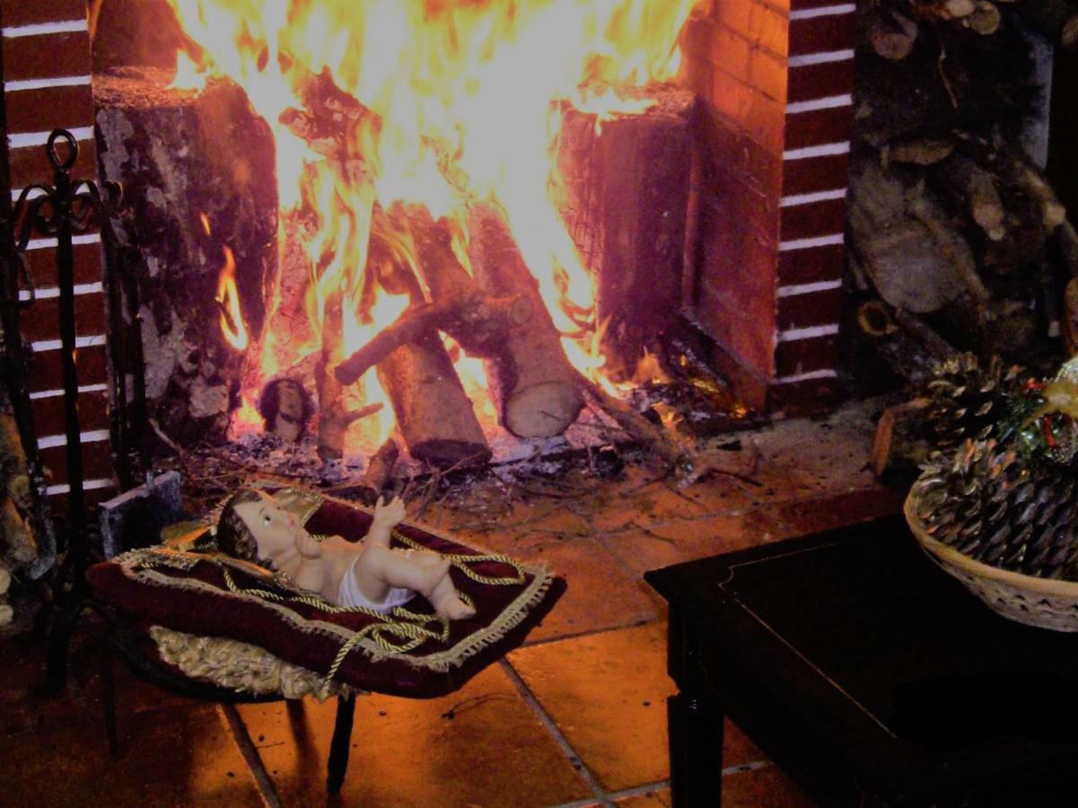 Quintinha Dos Cedros Villa Alfândega da Fé Dış mekan fotoğraf