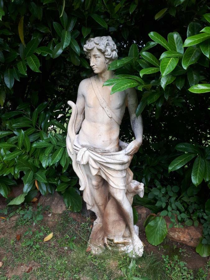 Quintinha Dos Cedros Villa Alfândega da Fé Dış mekan fotoğraf